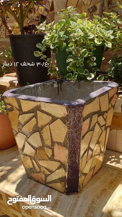 احواض زريعه اسمنتيه قابله للبدل على طيور