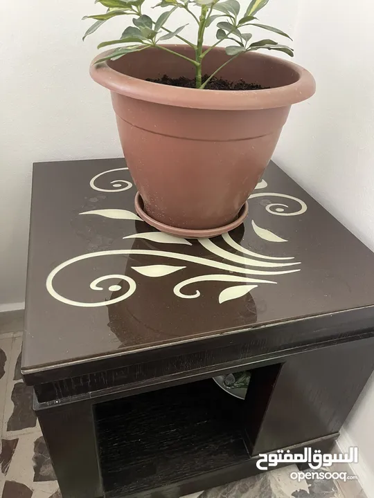 طاولة وسط مع 2جنابيات