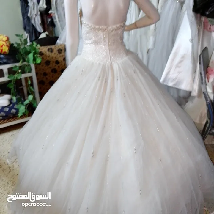 بيع بدل خطبه وعرايس وسواري