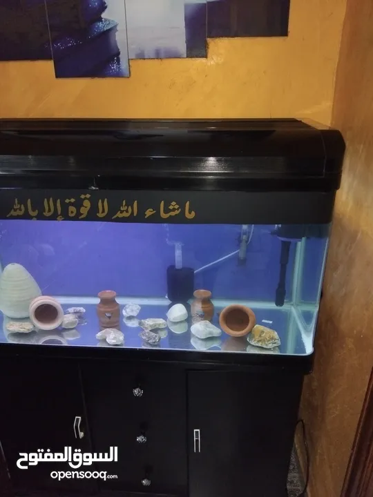 حوض سمك أجنبي بحالة الوكاله مع هيتر300 + مضخة رفع مناضر لحوض مضخة أكسجين مع فلتر سامب داخلي