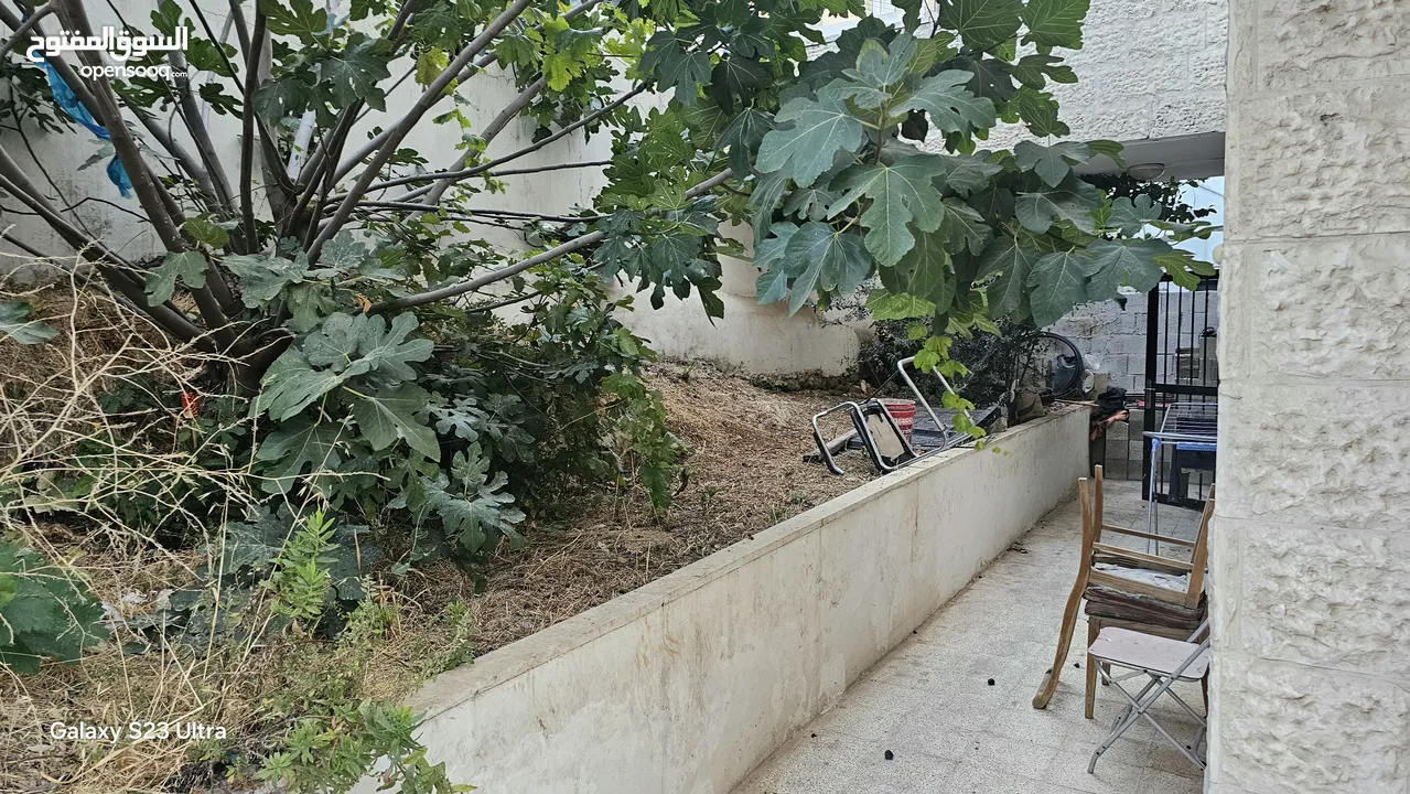 فراس ابو يزن