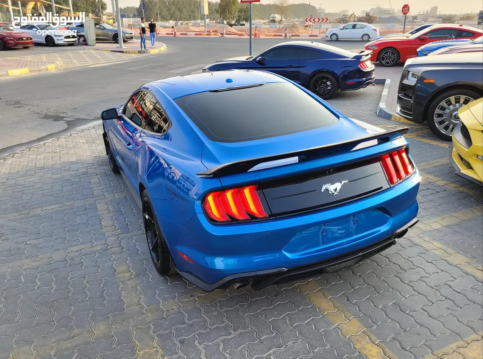 FORD MUSTANG ECOBOOST 2019 SHELBY KIT