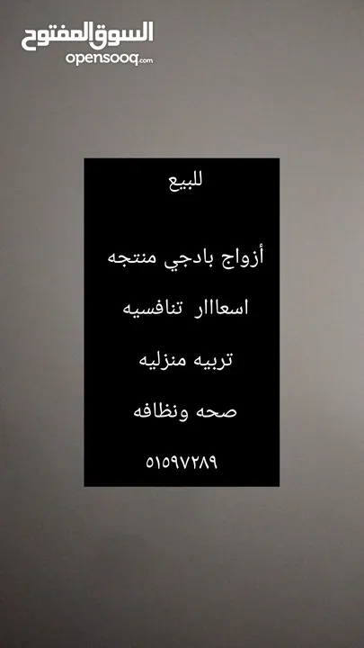 للبيع فروخ بادجي عس وقروخ كوكتيل نهاية عس