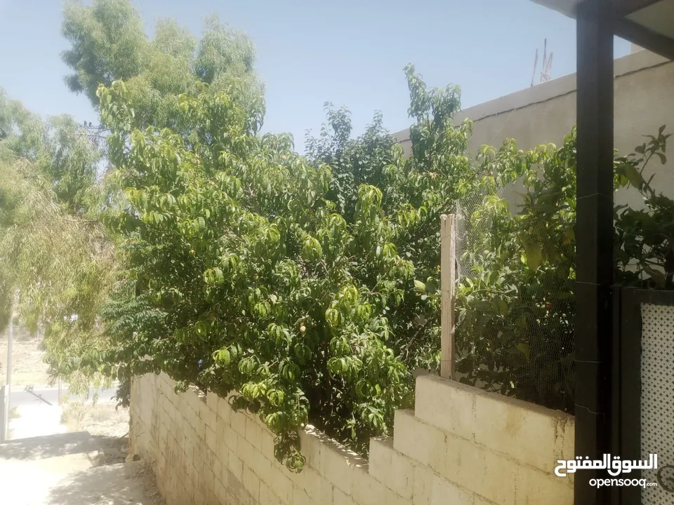 منزل مستقل جرش اسكان عجرمه  3غرف نوم 2حمام  صاله مع مطبخ امريكي  بلكونه  حديقه مساحه الارض 305