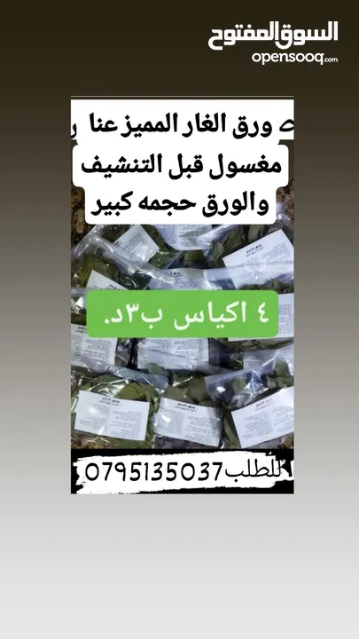 معمول وجبنه بيضاء غنم وزيتون اسود جرجير وورق عنب وملوخيه وكبه وتبوله ومعجنات وكعك ودحدح وهريسه وغر