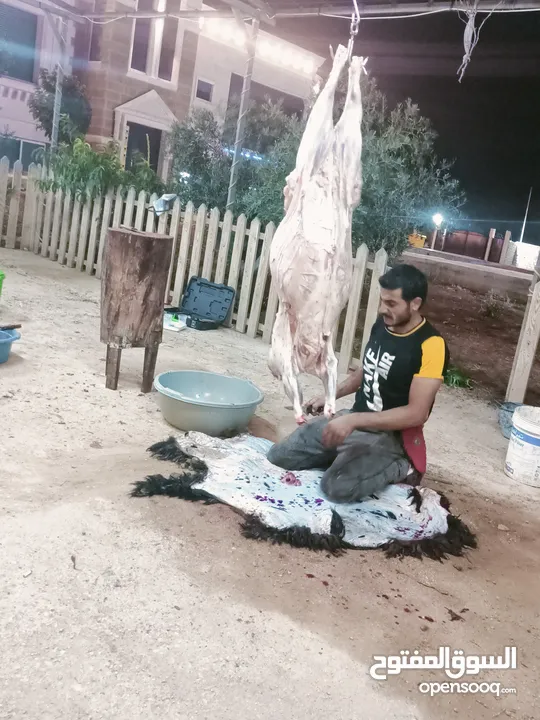 لحام جزار متنقل لذبح جميع انواع الاضاحي سارع بلحجز