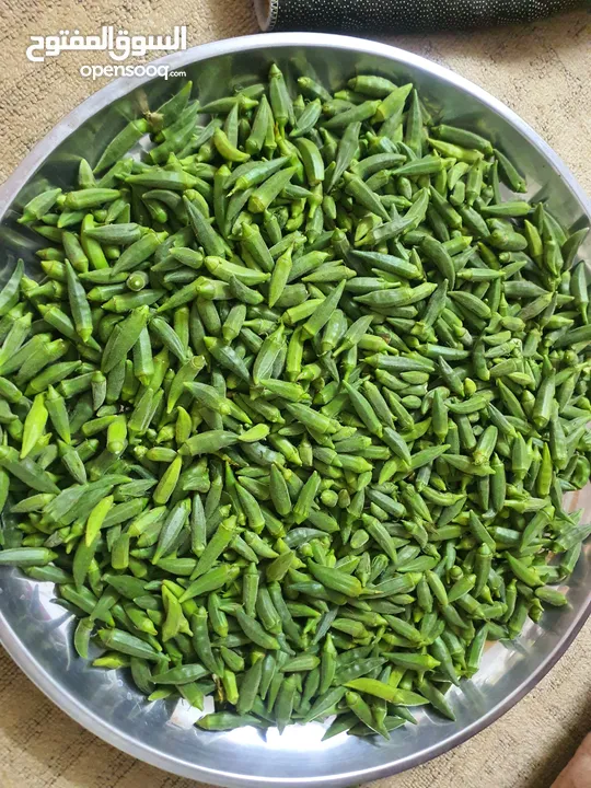 بامية خضراء اربد