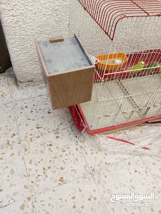 جوز حب مع 5فراخ