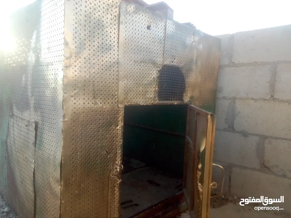 كنار وحمام واقفاص بسعر مغري