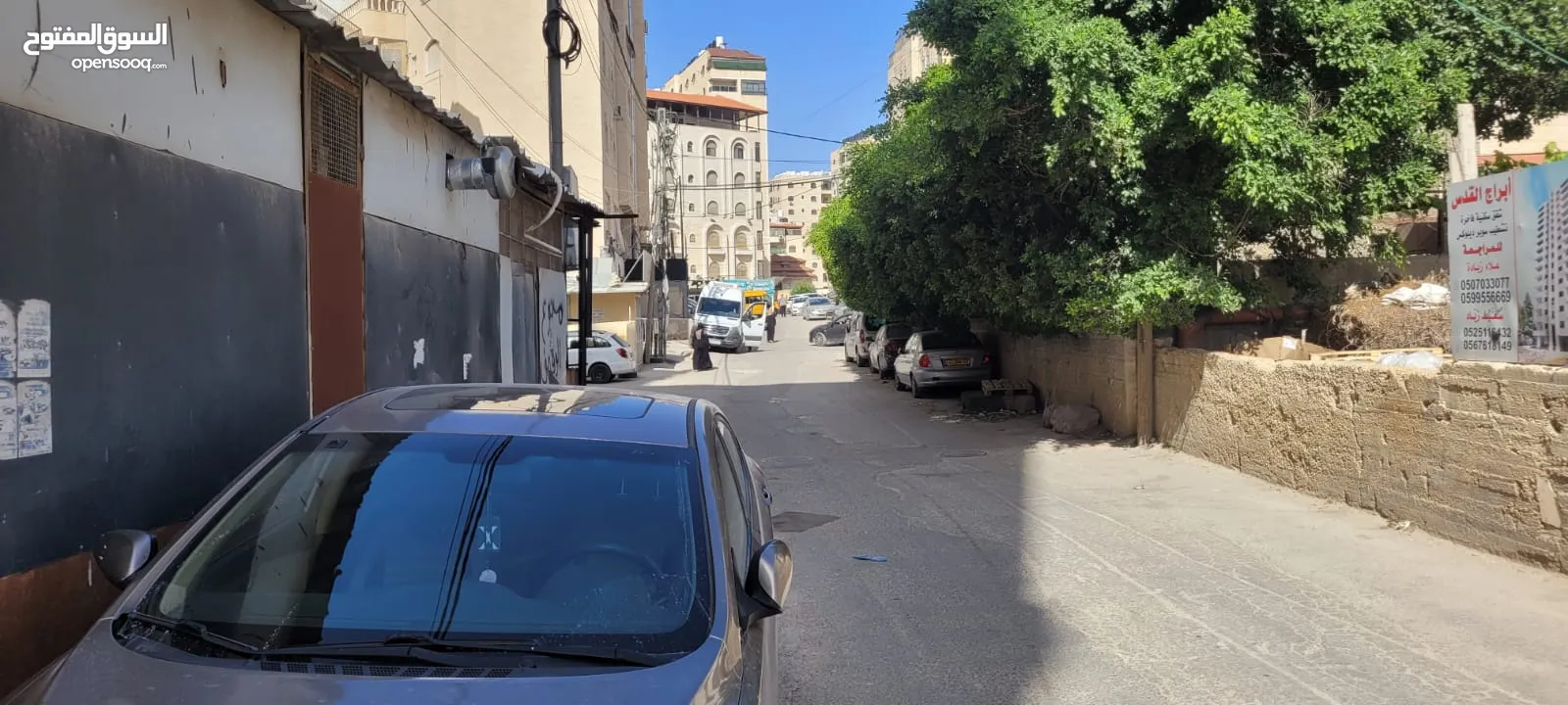 هشام محمد سامي سعيد