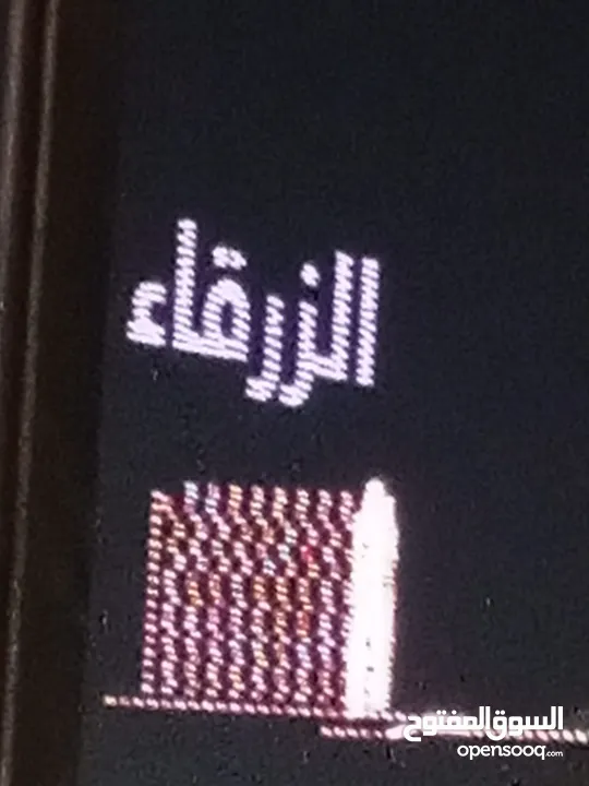 صيصان حبش اسود وأبيض عمرهن شهرين
