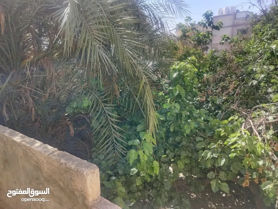 بيت مستقل للبيع