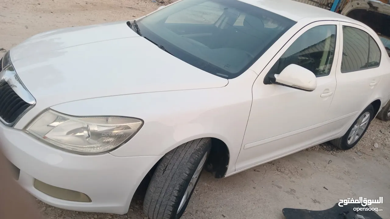 سكودا رمش قانوني أسرائيلي 2010