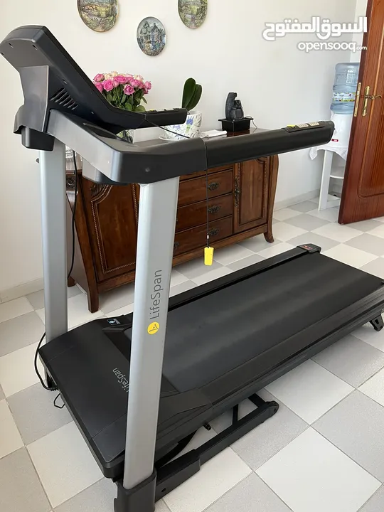Treadmill LifeSpan