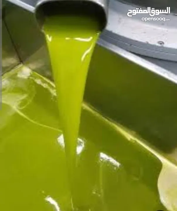 زيت زيتون بلدي بعل رومي زيتون اخضر واسود زيت لعام وزيت سنه زيت مضمون ومكفول وافحص وين مبدك
