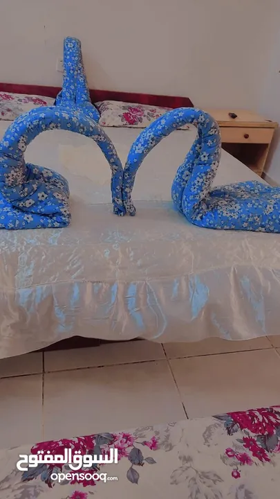 شقه بالعقبة .. فندق الجابر