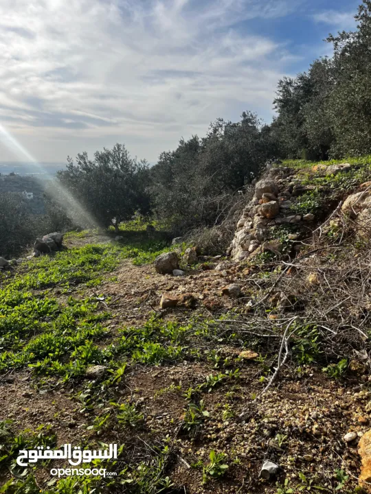 أرض للبيع بإطلالة غربية واصل جميع الخدمات