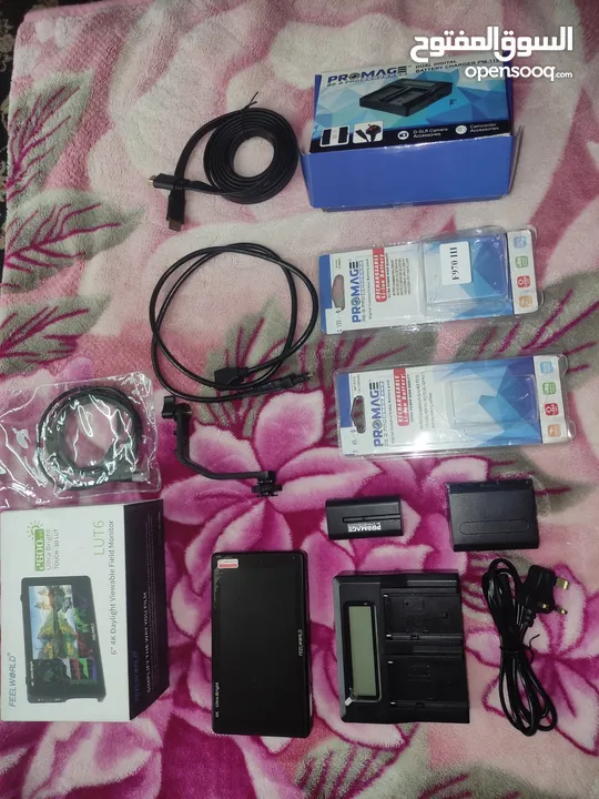 screen, mic, 2 battery, charger and cable