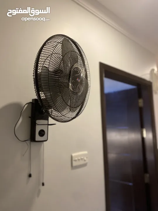 Wall Fan for sale