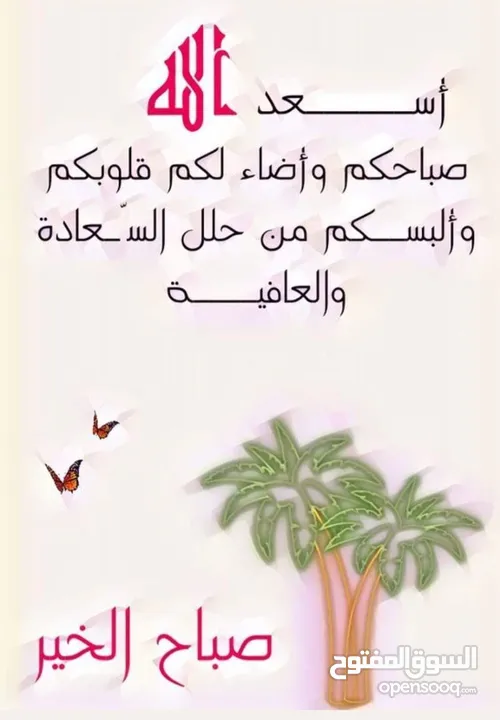 شقة للايجار شبنة