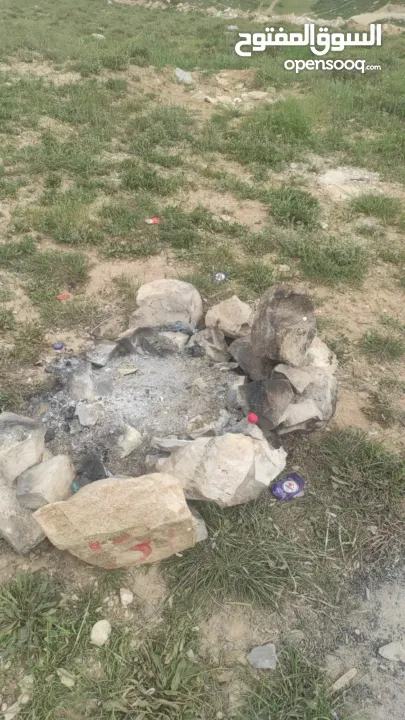 قطعة ارض مربعة الشكل في زواتا