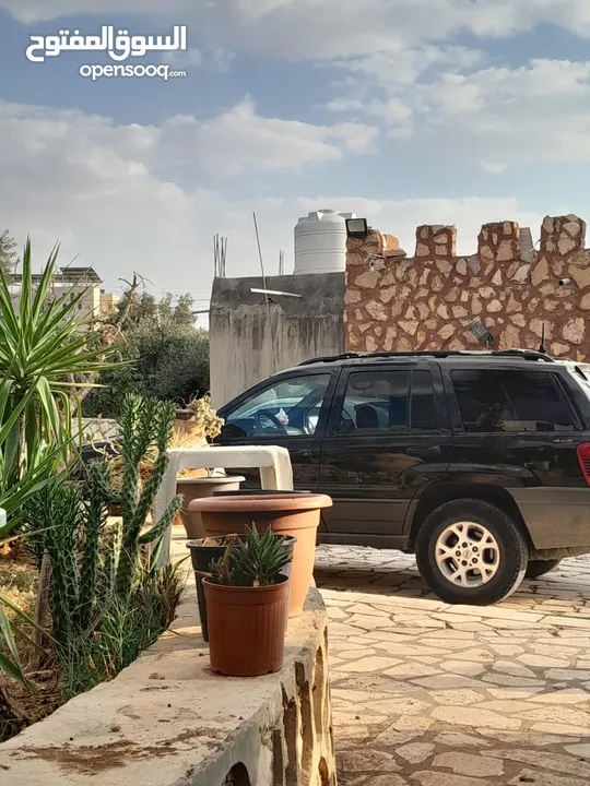 مزرعة للبيع