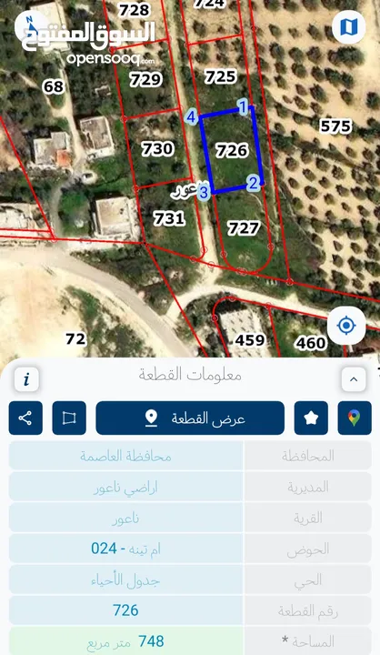 ارض للبيع في ناعور بسعر مغري