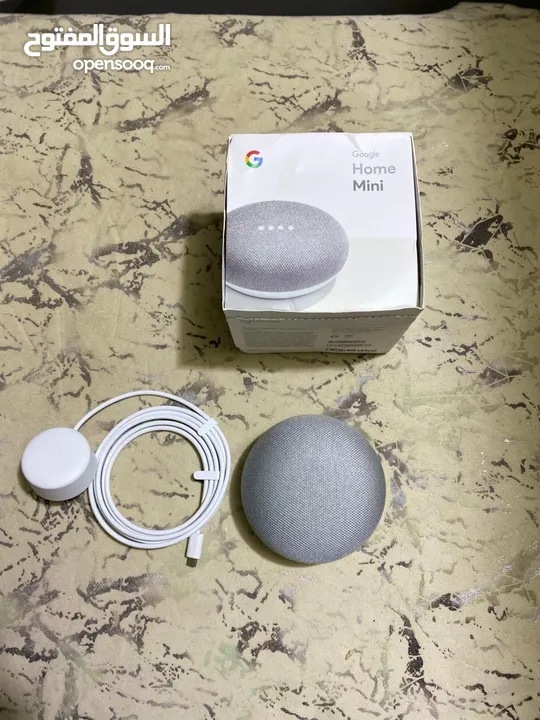 Google Home Mini Assistant