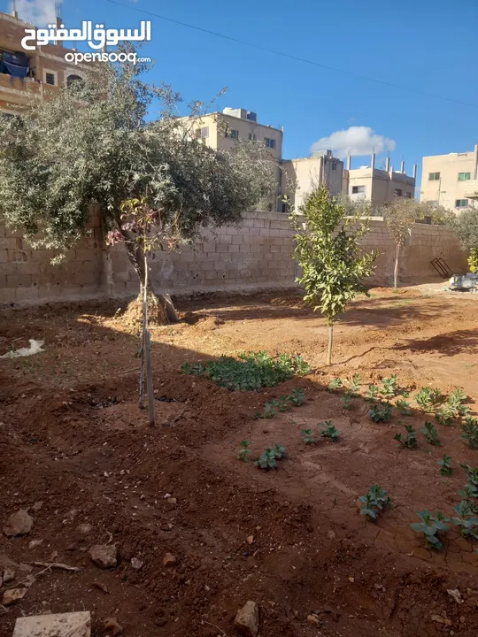 بيت للبيع في الرجم الشامي