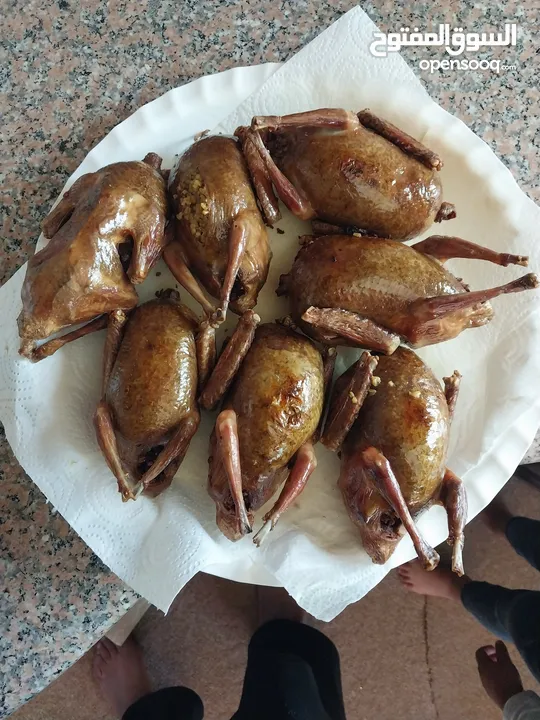 متاح حمام لاحم فرنسي بيور