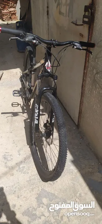 بسكليت نص جبلي نو عيه Rook