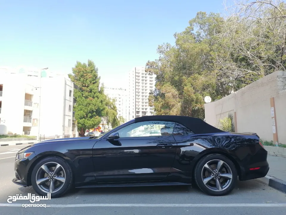 فورد موستنج ستة سلندر 2017 كشف Ford Mustang V6 Convertible