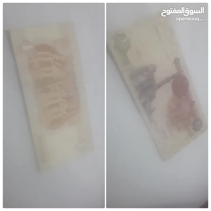 فور لاين اكس فور