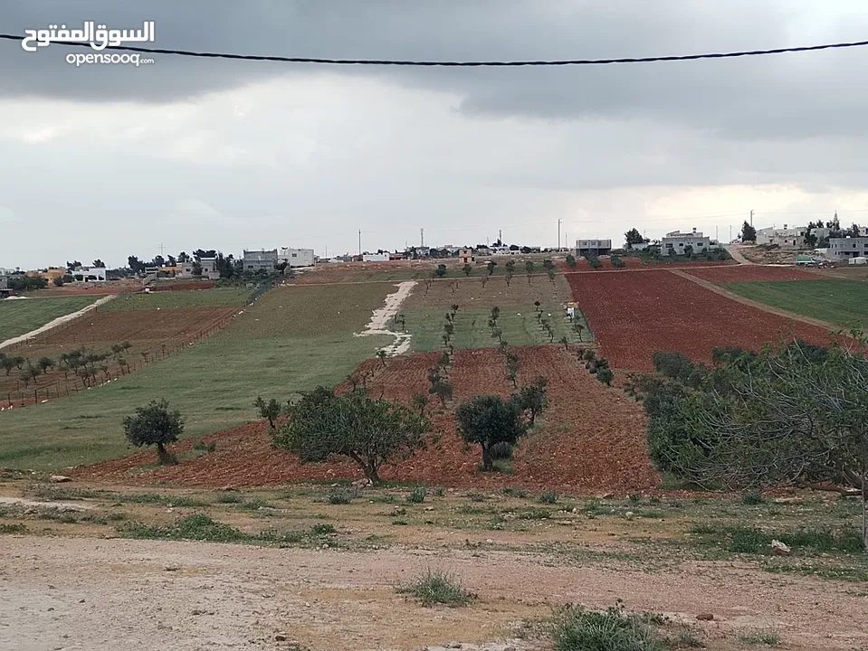 6800م للبيع واصل جميع الخدمات مزروع زيتون فيها بئر جمت ماء  كامل القطعه من المالك