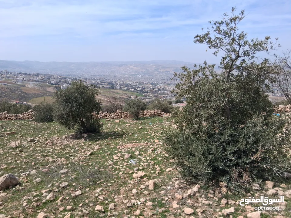 ارض مميزة في حي الضياء للبيع من المالك مباشرة