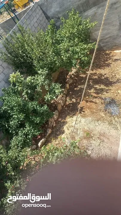 منزل للبيع