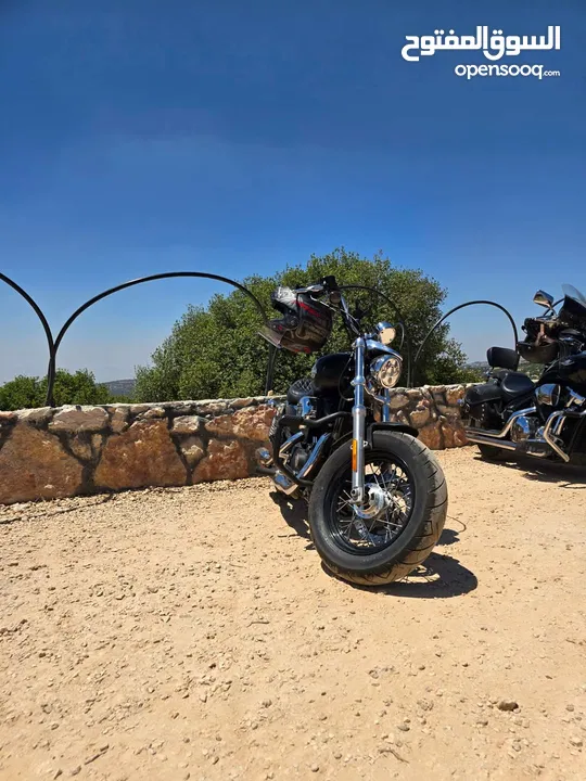 Harley Davidson Sportster Custom XL 1200