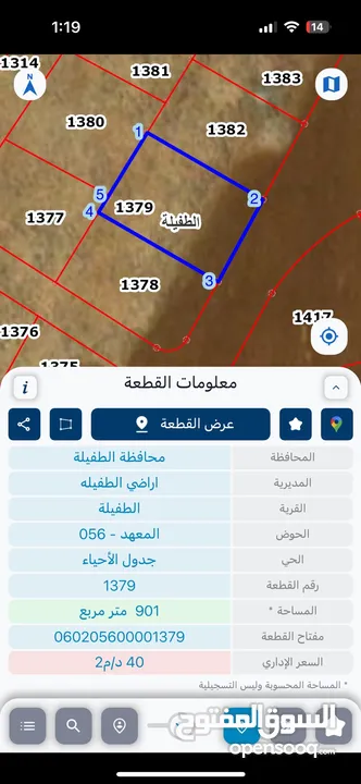 قطعة ارض سكني للبيع في الطفيلة - العيص
