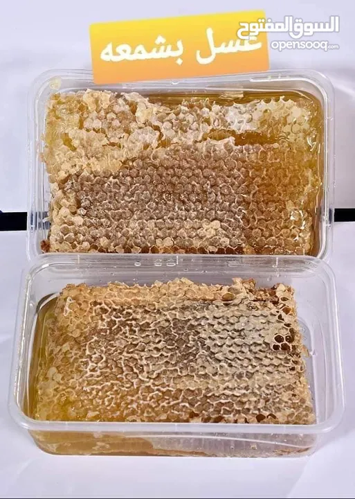 مناحل وعسل زهور الشمال خبره السنين نضعها بين يديك