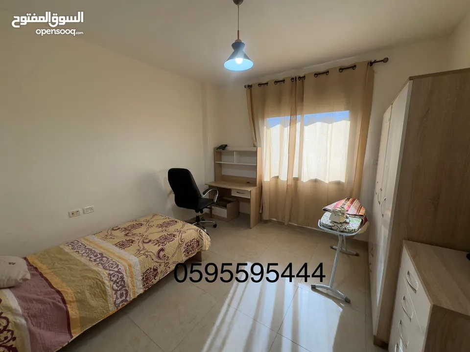 شقه مفروشه الطيره