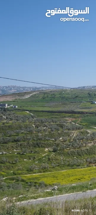 نمرة للبيع