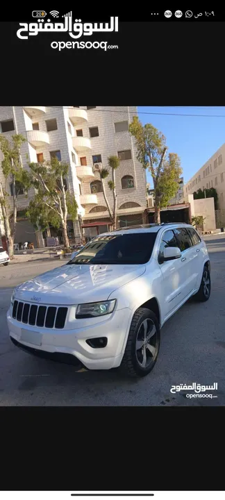 جيب فل كرتونه