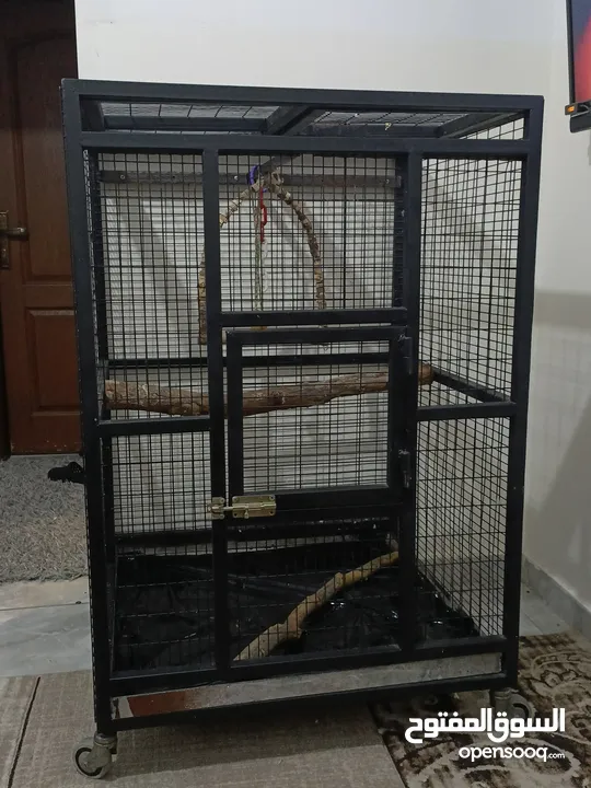 قفص  ببغاء  كاسكو أو مكاوي تفصيل متحرك بعجال  حجم كبير وثقيل وشي مرتب