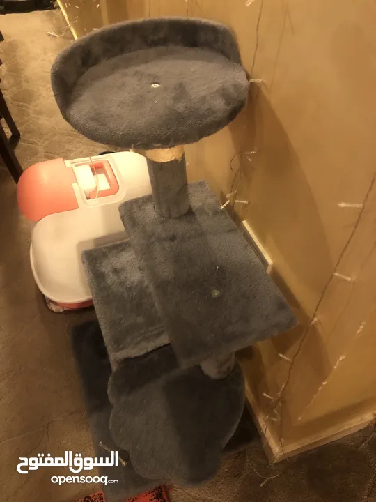 منزل للقطة