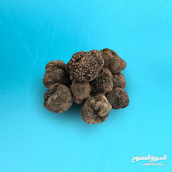 ترفاس أسود فاخر بجودة عالية ومذاق مميز (أكثر من 20 غرام)  (+20g) Black Truffle