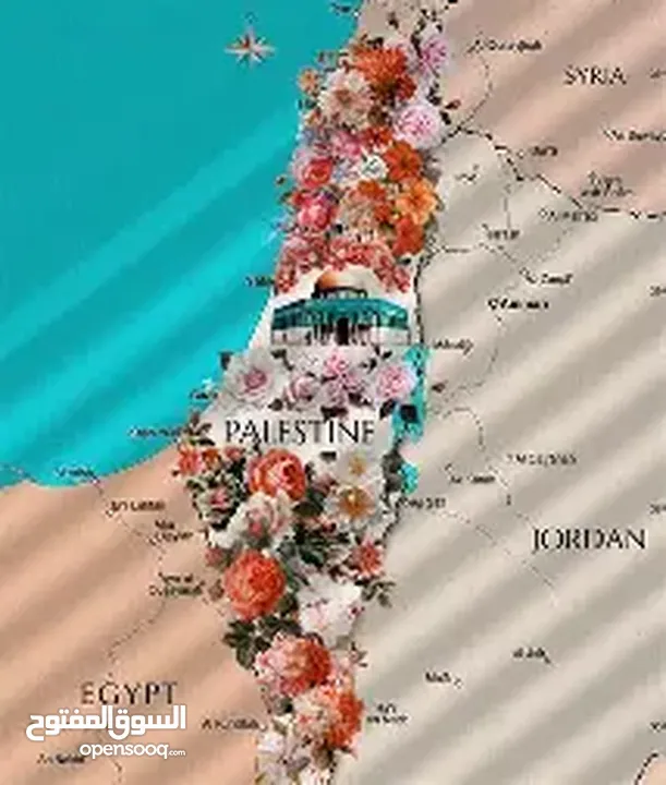 فلسطين حرة للدروس الخصوصية