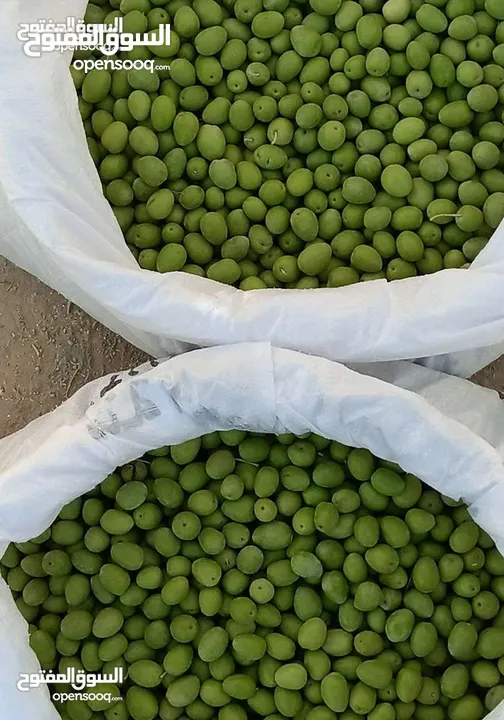 زيت زيتون  بعل  عصره أولة