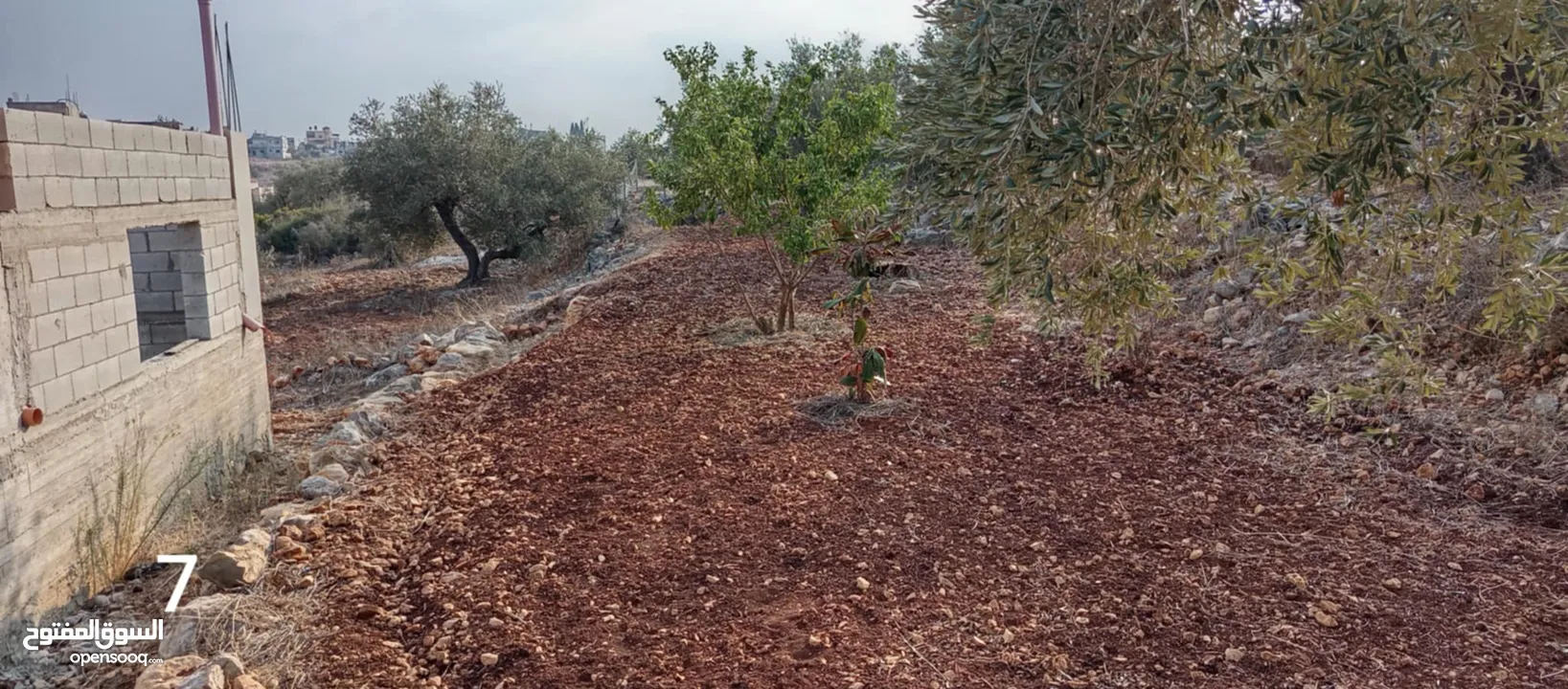 قطعة ارض عليها بيت عظم للبيع