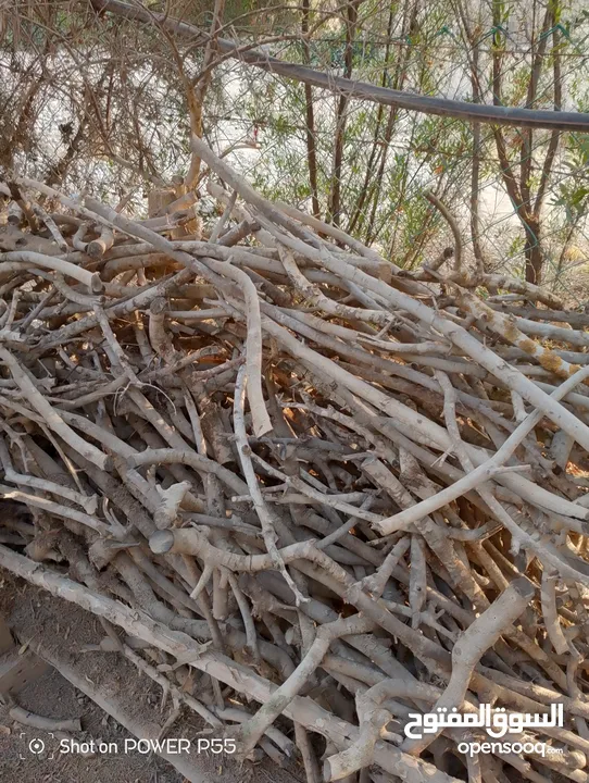 تشكيلة حطب للبيع