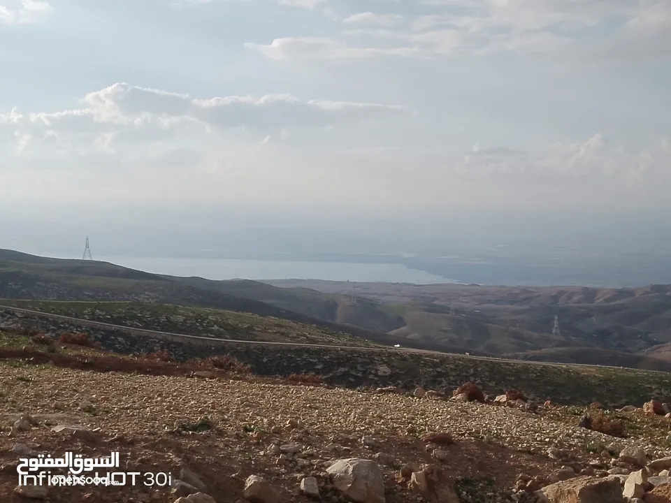 مادبا ماعين قطعة أرض زراعية مميزة مطلة على البحر الميت والضفة الغربية بمساحة 21 دونم